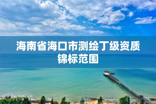 海南省海口市测绘丁级资质锦标范围