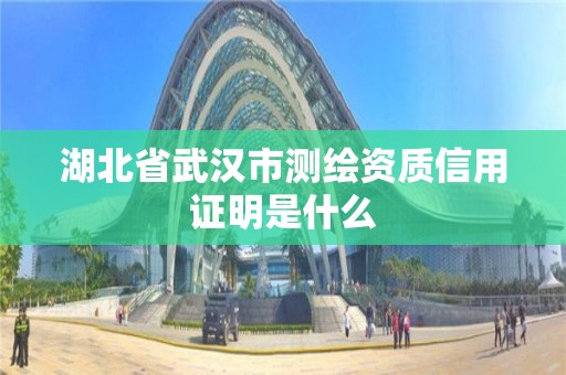 湖北省武汉市测绘资质信用证明是什么