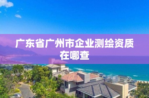 广东省广州市企业测绘资质在哪查