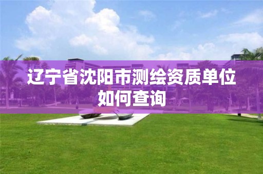 辽宁省沈阳市测绘资质单位如何查询