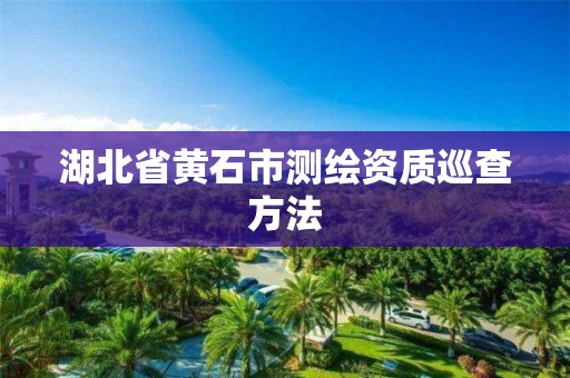 湖北省黄石市测绘资质巡查方法