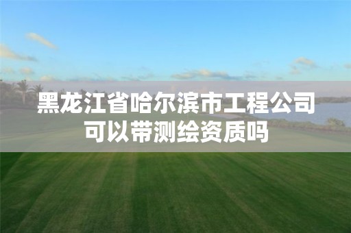 黑龙江省哈尔滨市工程公司可以带测绘资质吗