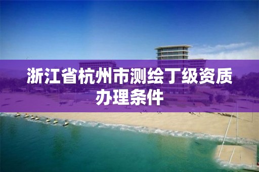 浙江省杭州市测绘丁级资质办理条件