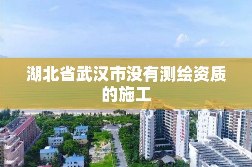 湖北省武汉市没有测绘资质的施工