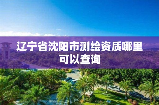 辽宁省沈阳市测绘资质哪里可以查询