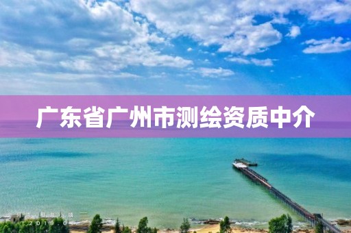 广东省广州市测绘资质中介