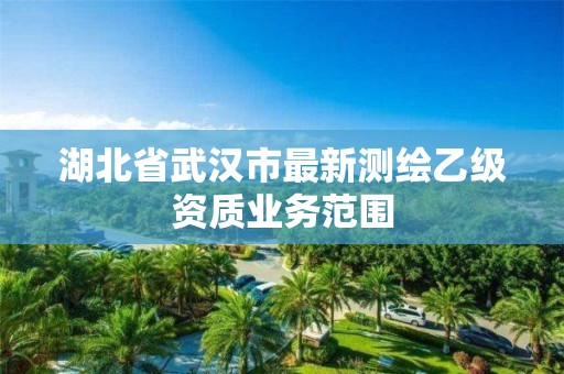 湖北省武汉市最新测绘乙级资质业务范围