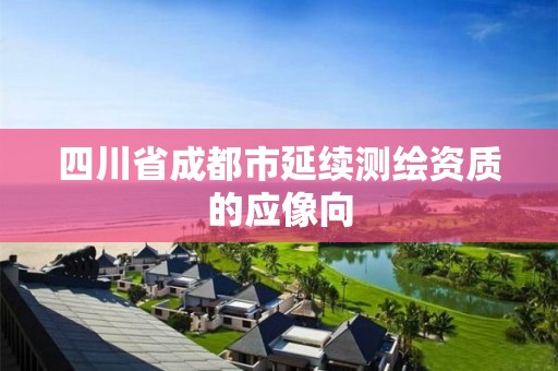 四川省成都市延续测绘资质的应像向