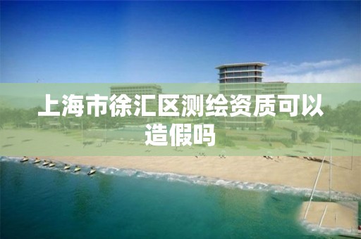 上海市徐汇区测绘资质可以造假吗