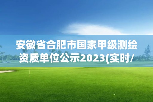 安徽省合肥市国家甲级测绘资质单位公示2023(实时/更新中)