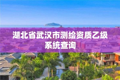 湖北省武汉市测绘资质乙级系统查询