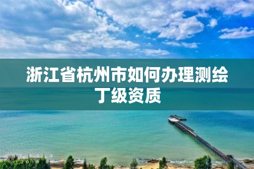 浙江省杭州市如何办理测绘丁级资质