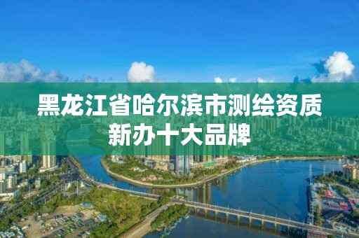 黑龙江省哈尔滨市测绘资质新办十大品牌