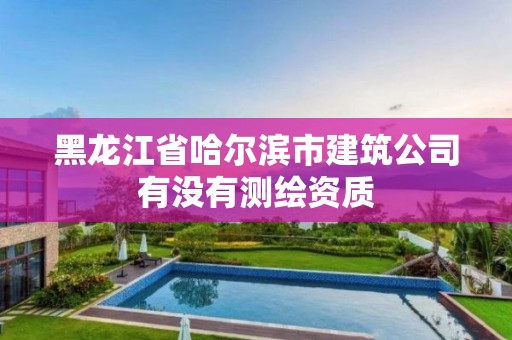 黑龙江省哈尔滨市建筑公司有没有测绘资质