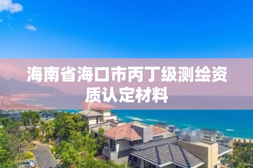 海南省海口市丙丁级测绘资质认定材料