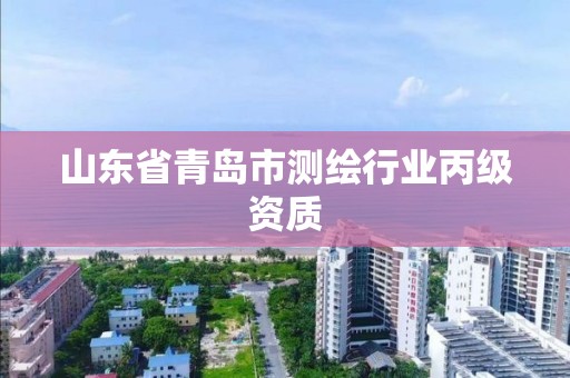 山东省青岛市测绘行业丙级资质