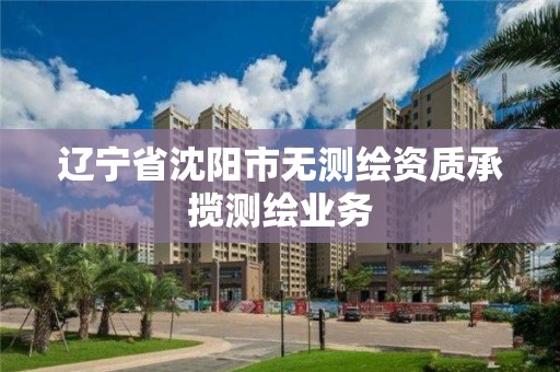 辽宁省沈阳市无测绘资质承揽测绘业务