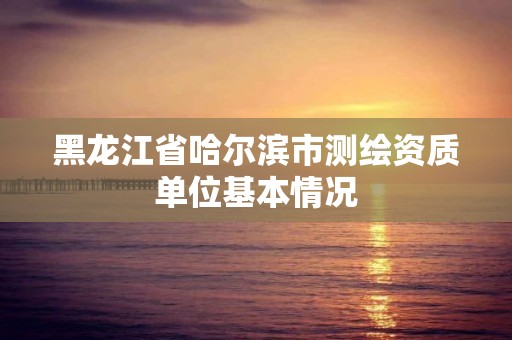 黑龙江省哈尔滨市测绘资质单位基本情况