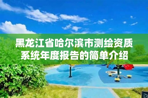 黑龙江省哈尔滨市测绘资质系统年度报告的简单介绍