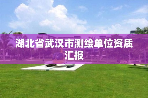 湖北省武汉市测绘单位资质汇报