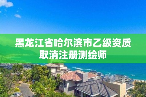 黑龙江省哈尔滨市乙级资质取消注册测绘师