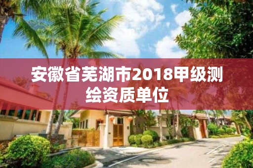 安徽省芜湖市2018甲级测绘资质单位