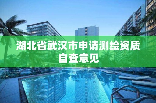 湖北省武汉市申请测绘资质自查意见