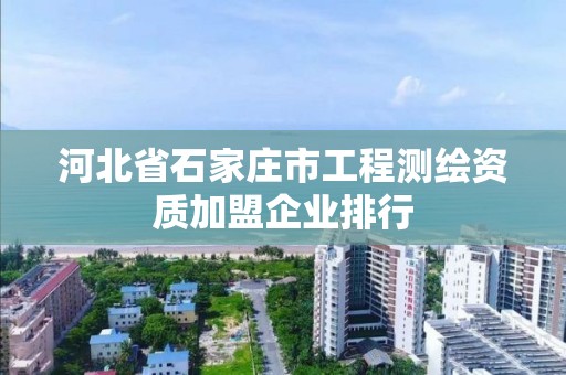 河北省石家庄市工程测绘资质加盟企业排行