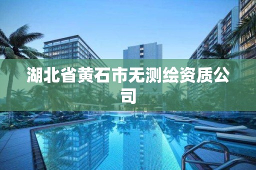 湖北省黄石市无测绘资质公司