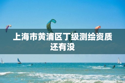 上海市黄浦区丁级测绘资质还有没