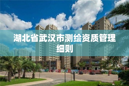 湖北省武汉市测绘资质管理细则