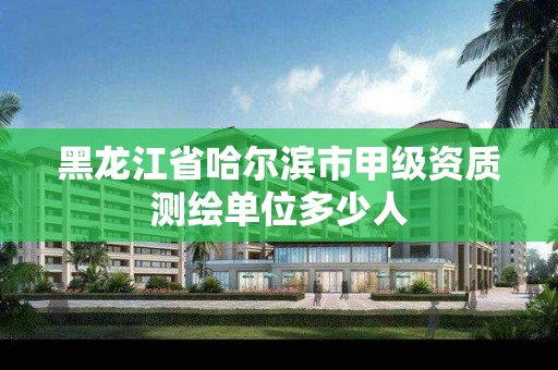 黑龙江省哈尔滨市甲级资质测绘单位多少人