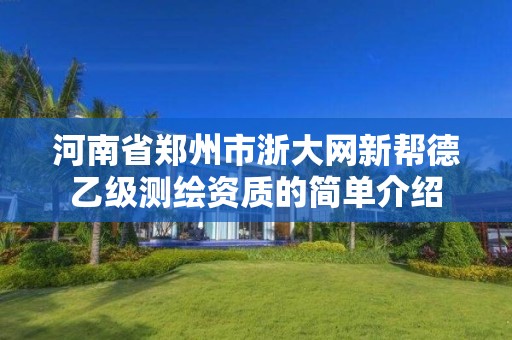 河南省郑州市浙大网新帮德乙级测绘资质的简单介绍