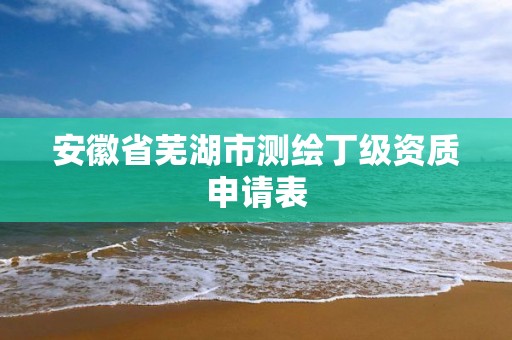 安徽省芜湖市测绘丁级资质申请表