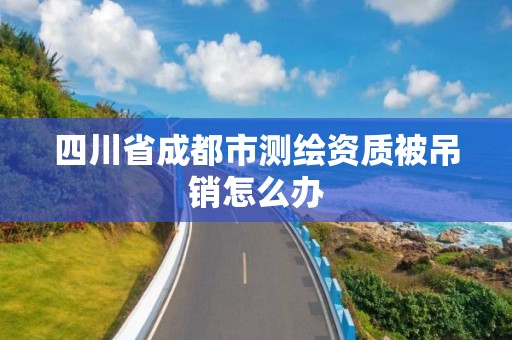 四川省成都市测绘资质被吊销怎么办