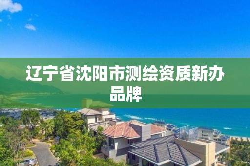 辽宁省沈阳市测绘资质新办品牌