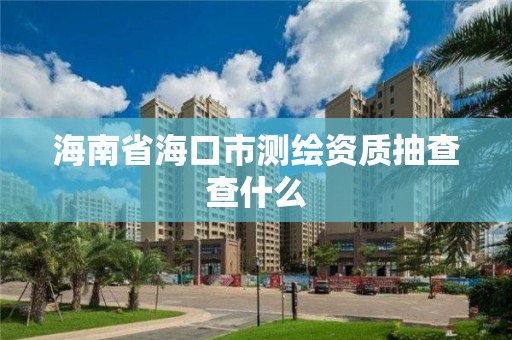 海南省海口市测绘资质抽查查什么