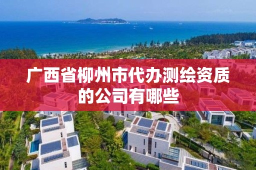 广西省柳州市代办测绘资质的公司有哪些