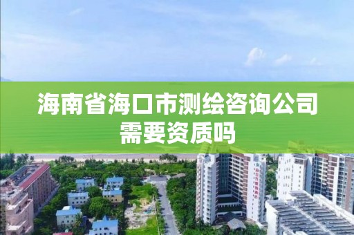 海南省海口市测绘咨询公司需要资质吗