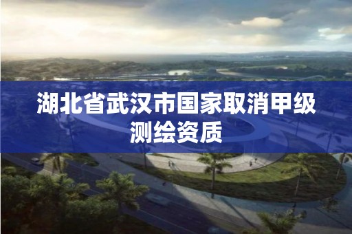 湖北省武汉市国家取消甲级测绘资质