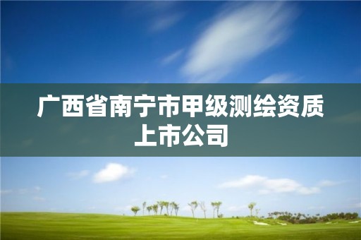 广西省南宁市甲级测绘资质上市公司