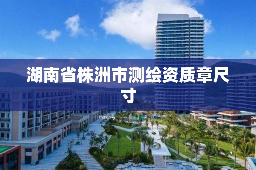 湖南省株洲市测绘资质章尺寸