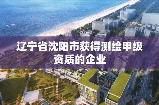 辽宁省沈阳市获得测绘甲级资质的企业