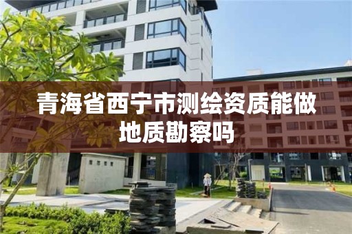 青海省西宁市测绘资质能做地质勘察吗