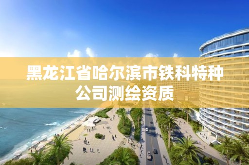 黑龙江省哈尔滨市铁科特种公司测绘资质