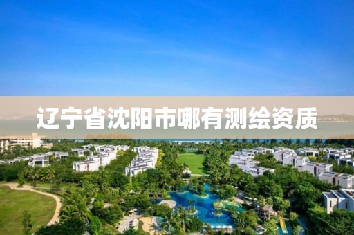 辽宁省沈阳市哪有测绘资质