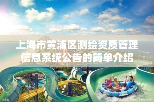 上海市黄浦区测绘资质管理信息系统公告的简单介绍