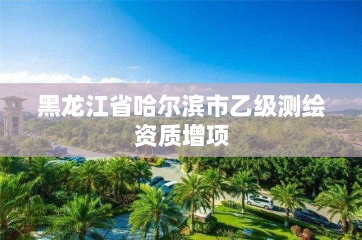 黑龙江省哈尔滨市乙级测绘资质增项