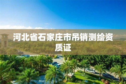 河北省石家庄市吊销测绘资质证