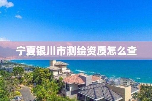 宁夏银川市测绘资质怎么查